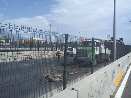 Sentencia condena a la Concesionaria de Autopista, por accidente de tránsito