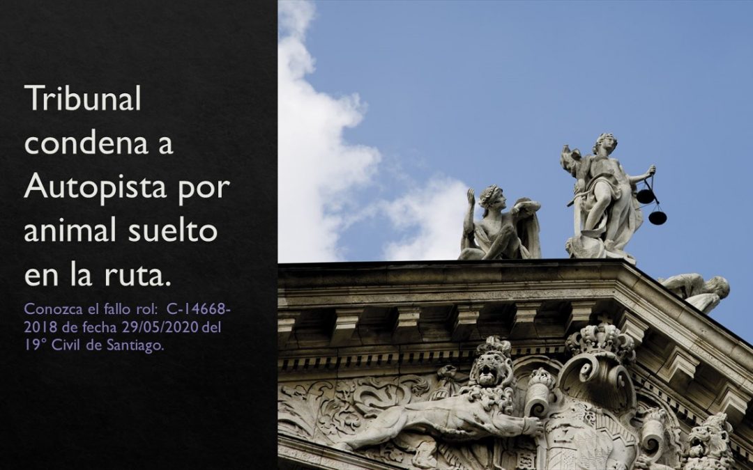 Tribunal condena a Autopista por animal suelto en la ruta.